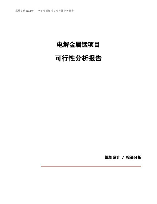 电解金属锰项目可行性分析报告(模板参考范文)