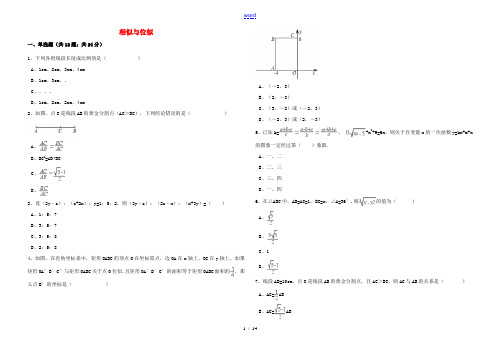 中考数学备考专题复习 相似与位似(含解析)-人教版初中九年级全册数学试题