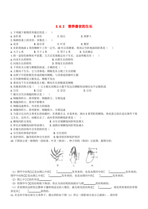 七年级生物上册3.6.2营养器官的生长同步练习新版北师大版