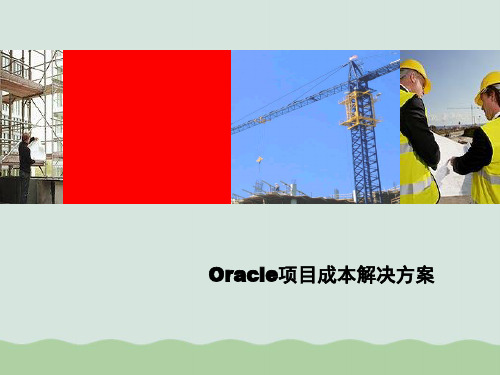 Oracle项目成本解决方案解析ppt(共27页)