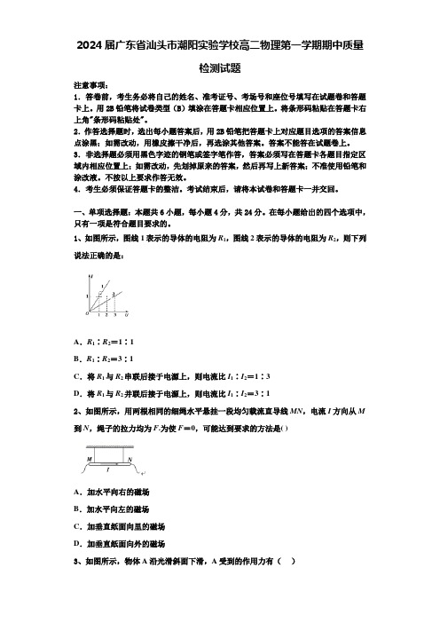 2024届广东省汕头市潮阳实验学校高二物理第一学期期中质量检测试题含解析