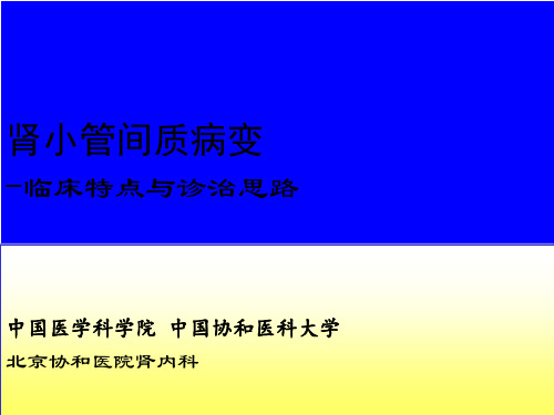 肾小管间质病变临床特点与诊治思路PPT课件