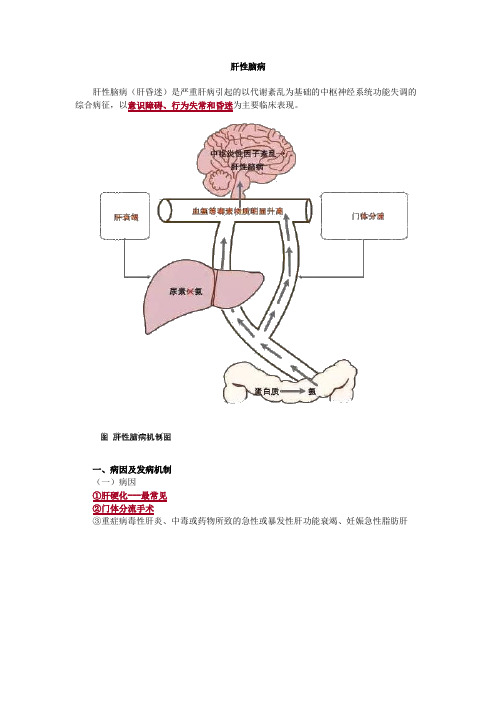 内科护理学-肝性脑病