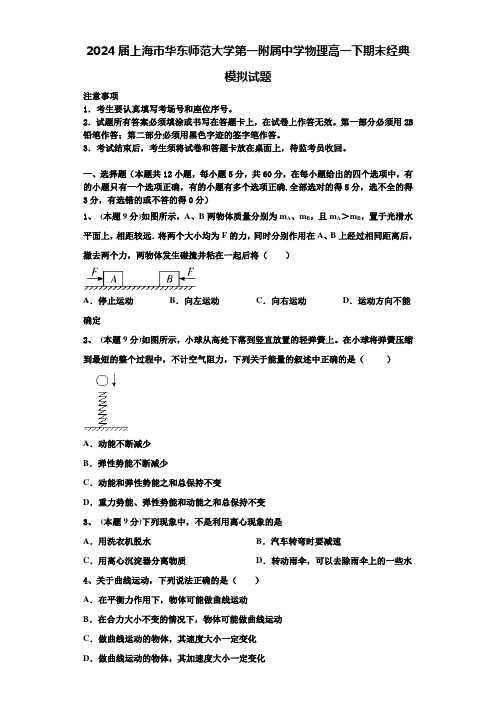 2024届上海市华东师范大学第一附属中学物理高一下期末经典模拟试题含解析