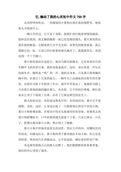 它,触动了我的心灵初中作文700字