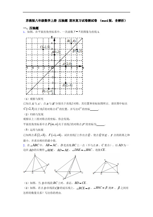 苏教版八年级数学上册 压轴题 期末复习试卷测试卷 (word版,含解析)