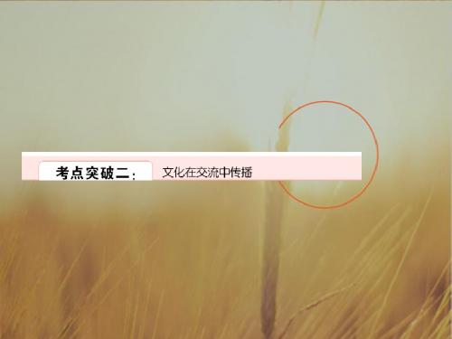 最新-2018年高考政治一轮复习 文化在交流中传播课件 
