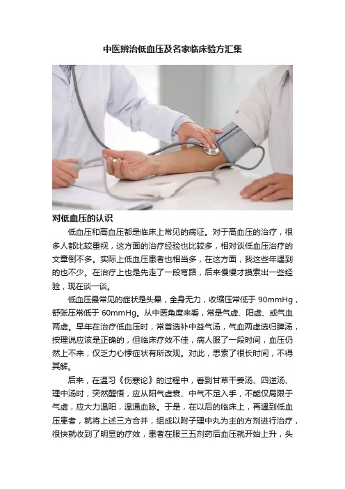 中医辨治低血压及名家临床验方汇集