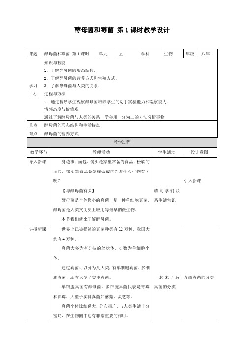 5.2.1 酵母菌和霉菌（教案）