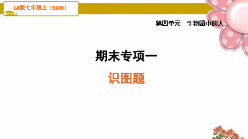 7生物LK五四版 期末专项、测试卷期末专项一 识图题