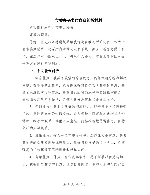 市委办秘书的自我剖析材料