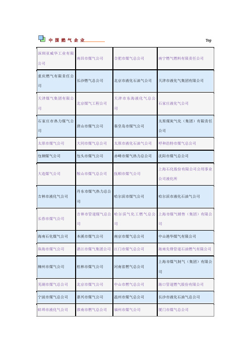 中 国 燃 气 企 业名单