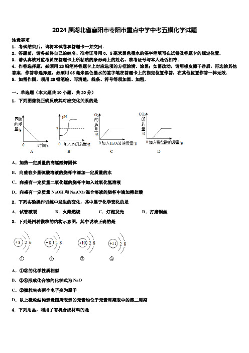 2024届湖北省襄阳市枣阳市重点中学中考五模化学试题含解析