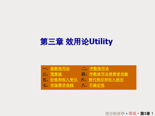 第三章 效用论Utility(西方经济学)