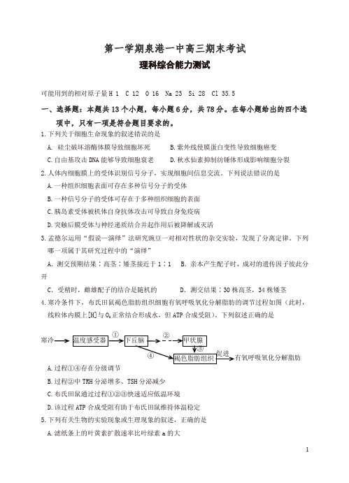 2019年福建省泉州市泉港区第一中学高三上学期期末考试理科综合试题(有答案)-精编.doc