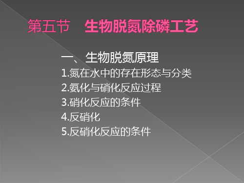 水污染控制工程生物脱氮除磷工艺