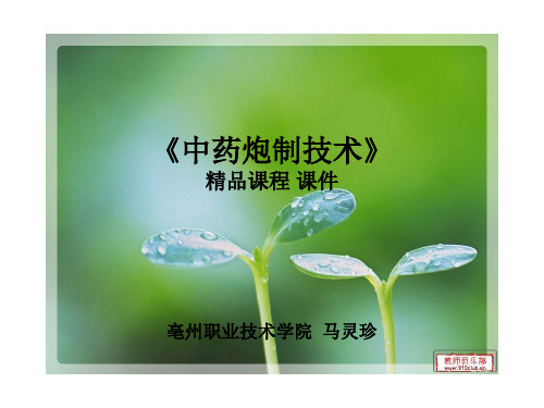 中药炮制学