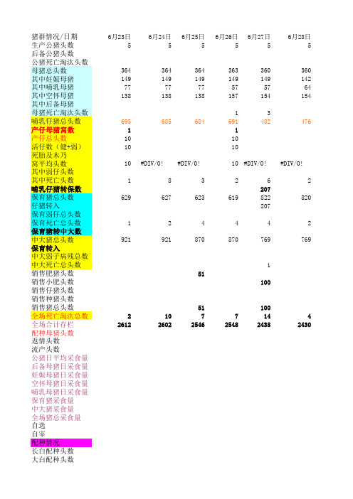 猪场生产报表 数据透视