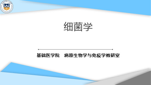 护理学院细菌学