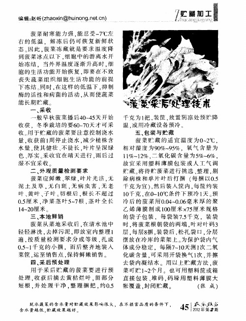 菠菜采后处理技术