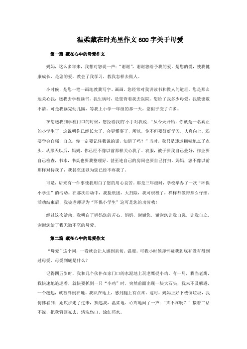 温柔藏在时光里作文600字关于母爱