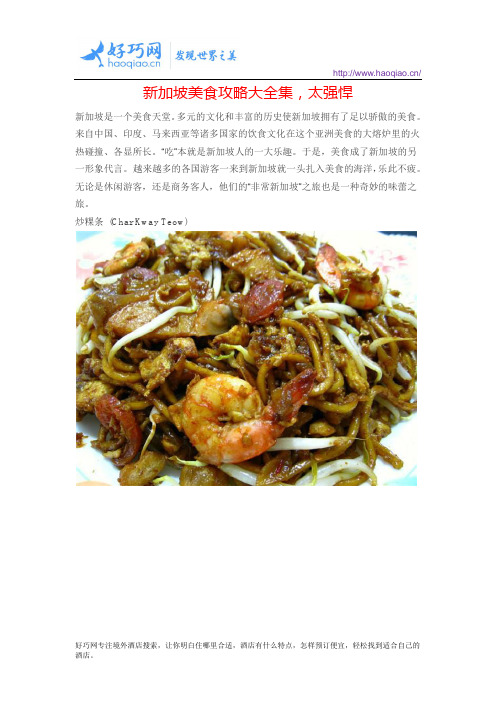 新加坡美食攻略大全集,太强悍