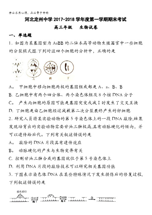 河北省定州中学2018届高三上学期期末考试生物试题含答案