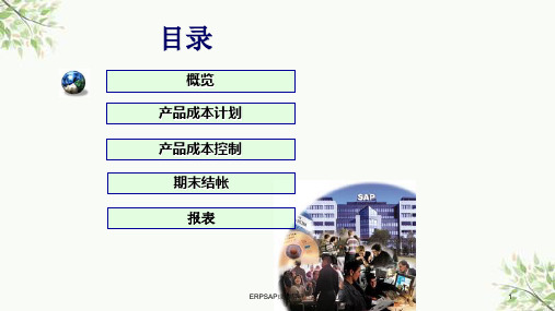 ERPSAP成本管理课件