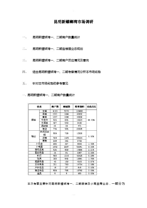 昆明新螺蛳湾市场调研报告