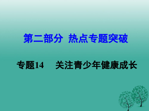 湖南省2017中考思想品德 热点专题突破 专题14 关注青少年健康成长教学课件