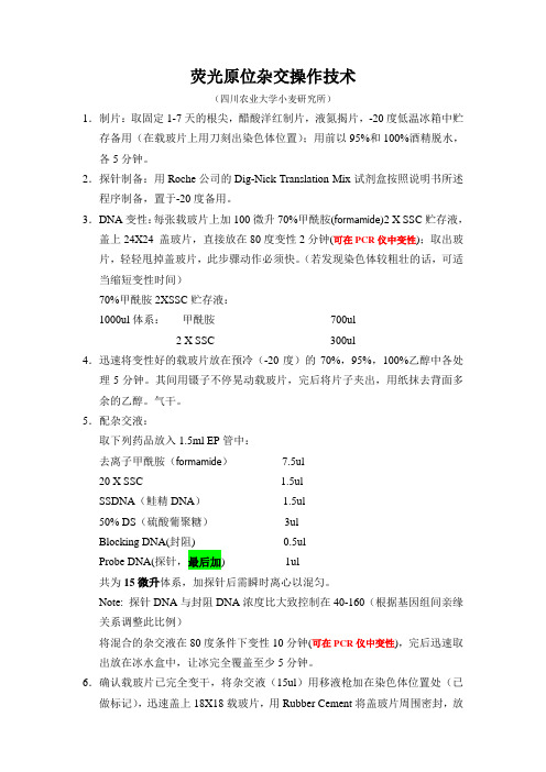 荧光原位杂交操作技术(川农小麦所)