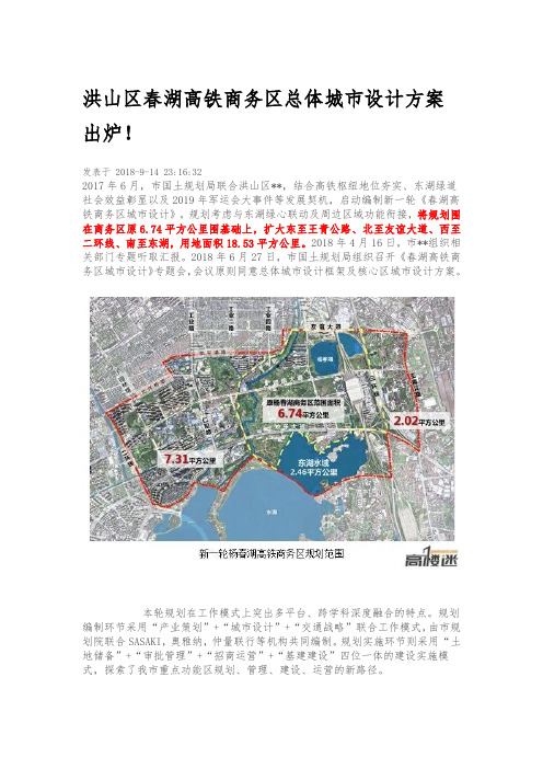 洪山区杨春湖高铁商务区总体城市设计方案