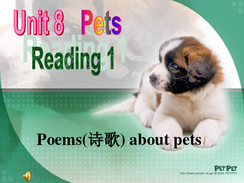 牛津译林版七年级英语下册Unit 8 Pets reading 优质课课件(共35张PPT)