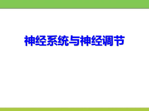 《神经系统与神经调节》-北师大版七年级生物下册PPT课件