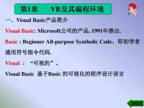 Basic产品简介精品资料