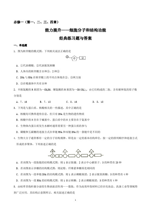 高一生物下学期期末复习必刷经典题(必修1)——细胞分子和结构功能(能力提升)