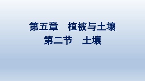 人教版高中地理必修第一册精品课件 第5章 植被与土壤 第2节 土壤 (2)