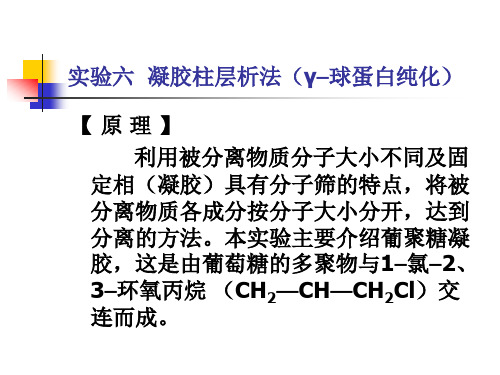 动物医学-生化实验《实验三  凝胶柱层析法(纯化γ–球蛋白)》课件