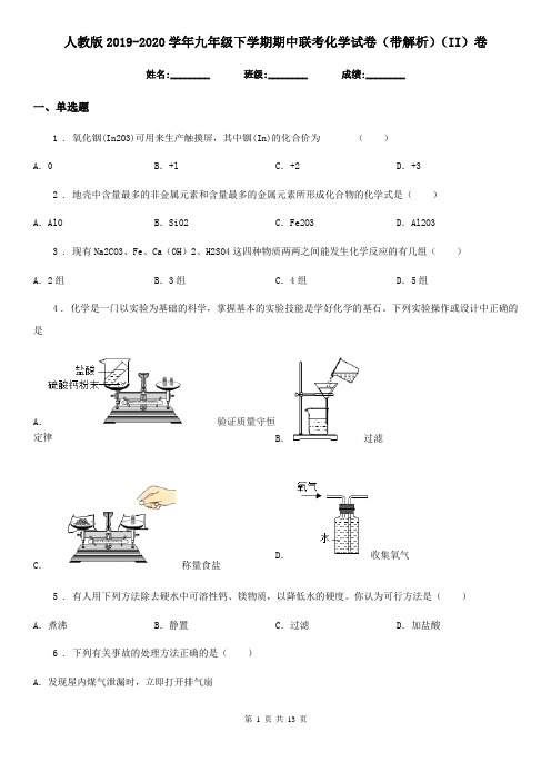 人教版2019-2020学年九年级下学期期中联考化学试卷(带解析)(II)卷