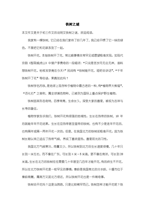 初中初三作文说明文：铁树之谜