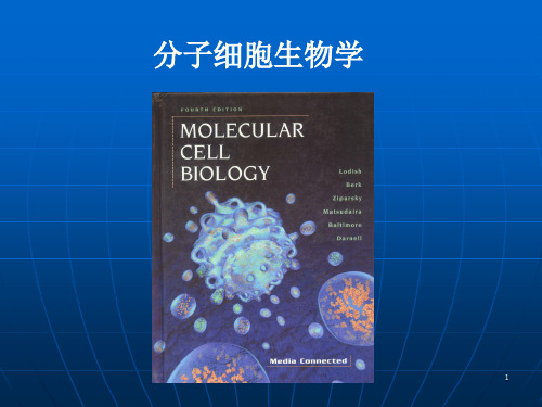 《分子细胞生物学》PPT课件