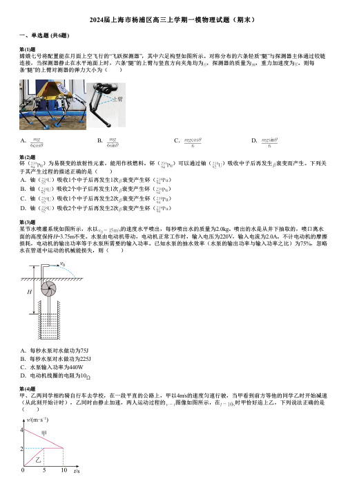 2024届上海市杨浦区高三上学期一模物理试题(期末)