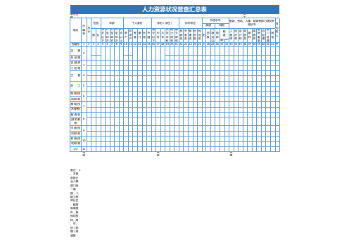 人力资源状况普查汇总表Excel表