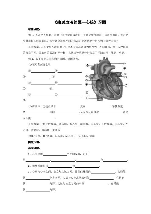 人教版-生物-七年级下册-第三节 输送血液的泵—心脏  课堂练习