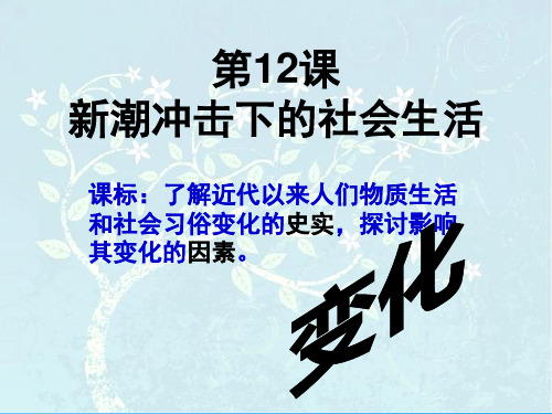 新潮冲击下的社会生活ppt25 岳麓版