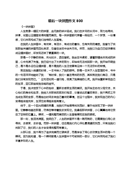 最后一块拼图作文800