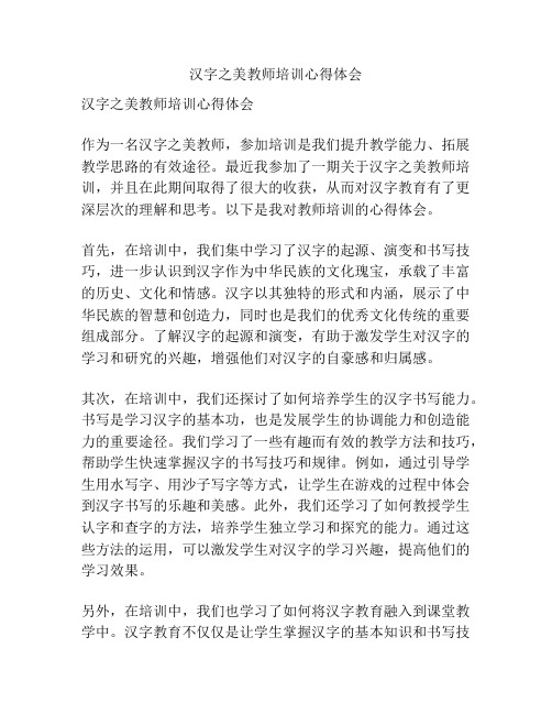汉字之美教师培训心得体会
