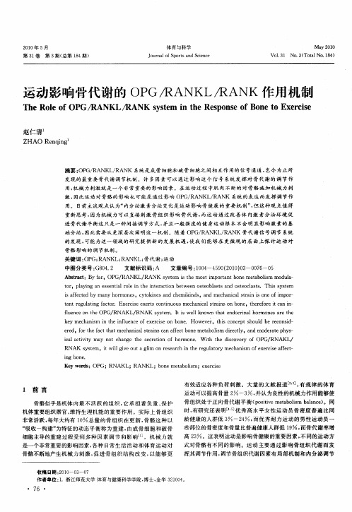 运动影响骨代谢的OPG／RANKL／RANK作用机制