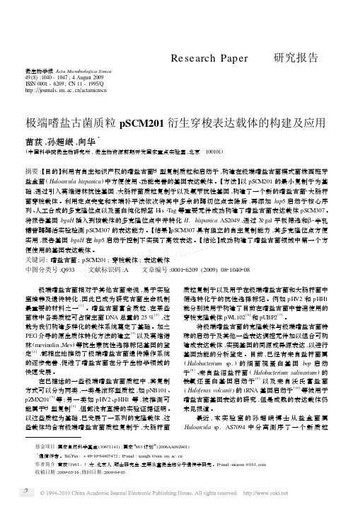 极端嗜盐古菌质粒pSCM201衍生穿梭表达载体的构建及应用