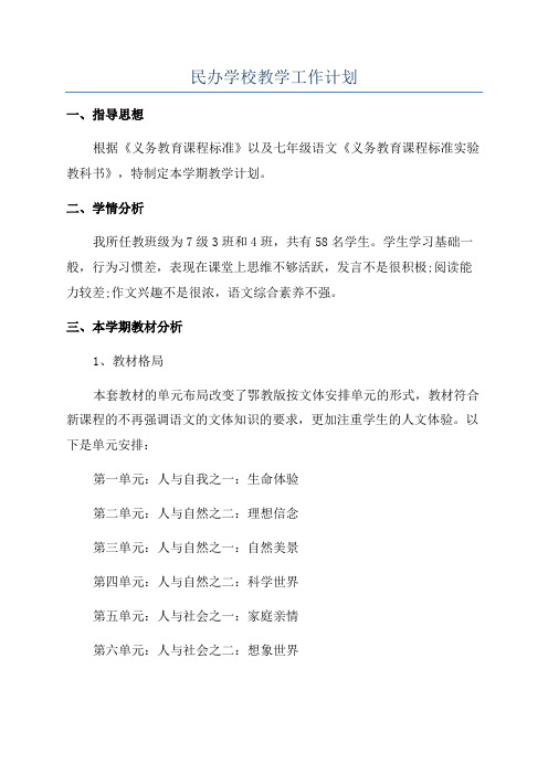 民办学校教学工作计划